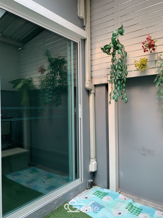 Hot Deal!!! For rent! !! at Townhome The Plant Citi Chaengwattana 25, 000THB/month 3 Bedroom 3 Bathroom Fully furnished