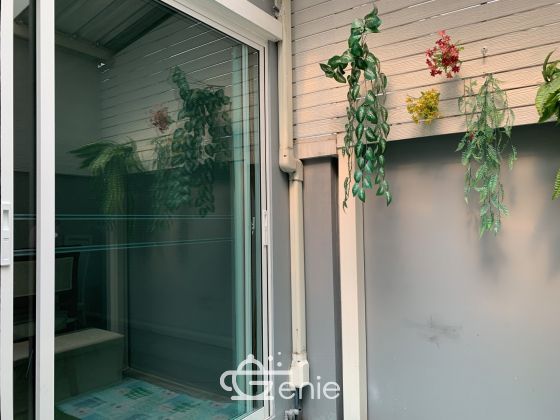 Hot Deal!!! For rent! !! at Townhome The Plant Citi Chaengwattana 25, 000THB/month 3 Bedroom 3 Bathroom Fully furnished