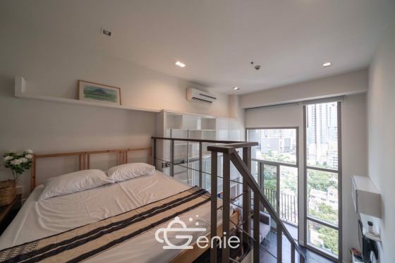 1 Bedroom Duplex Condo, pet friendly for rent in Ideo Morph Thonglor by owner (agent wellcome) , Sukhumvit 38 , near BTS Thonglor