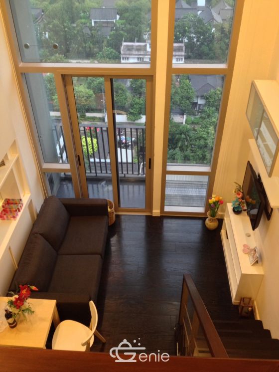 1 Bedroom Duplex Condo, pet friendly for rent in Ideo Morph Thonglor by owner (agent wellcome) , Sukhumvit 38 , near BTS Thonglor