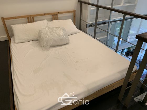 1 Bedroom Duplex Condo, pet friendly for rent in Ideo Morph Thonglor by owner (agent wellcome) , Sukhumvit 38 , near BTS Thonglor