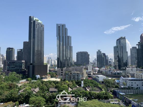 1 Bedroom Duplex Condo, pet friendly for rent in Ideo Morph Thonglor by owner (agent wellcome) , Sukhumvit 38 , near BTS Thonglor