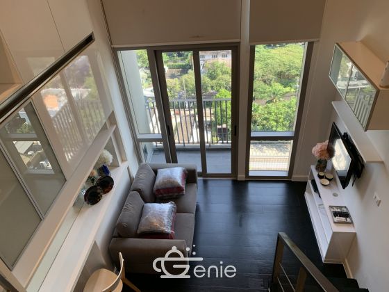 1 Bedroom Duplex Condo, pet friendly for rent in Ideo Morph Thonglor by owner (agent wellcome) , Sukhumvit 38 , near BTS Thonglor