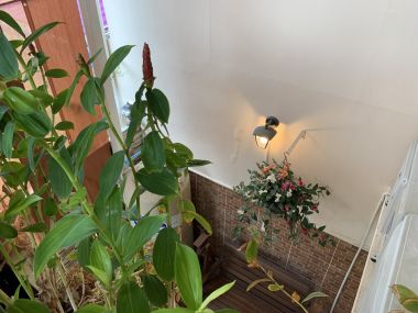 For sale Town House Chokchai 4 Soi.41 at 2,990,000 THB Transfer 50/50 (Tel.097-691-4181)