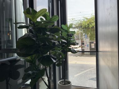 Pet Friendly 2 Bedroom for Sale/Rent at Formosa Ratchayothin