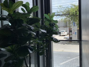 Pet Friendly 2 Bedroom for Sale/Rent at Formosa Ratchayothin