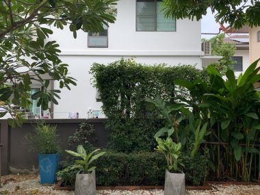 ** ขายด่วน/ปล่อยเช่า! ** บ้านเดี่ยว 2 ชั้น หมู่บ้านมัณฑนา อ่อนนุช-วงแหวน 4 เพียง 50,000 บาท/เดือน ขาย 8,170,000 บาท รวมทุกอย่างแล้ว ติดถนนกาญจนาภิเษก เนื้อที่ 60.6ตารางวา 165 ตารางเมตร 3 ห้องนอน 3 ห้องน้ำ มีคนทำสวน ฉีดปลวก เฟอร์นิเจอร์ครบพร้อมเข้าอยู่