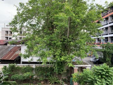 House and office warehouse