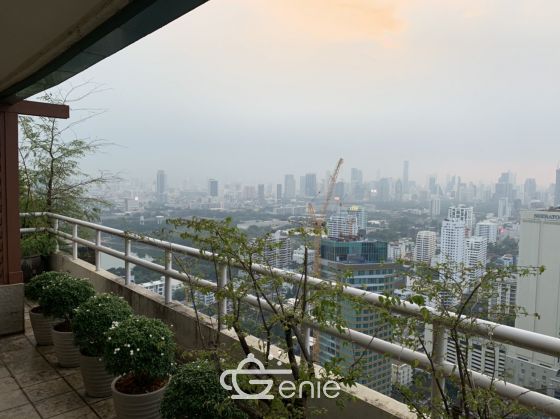 Las Colinas คอนโดหรู ใจกลางอโศก Style Penthouse 4 ห้องนอน 1 ห้องทำงาน 1 ห้องแม่บ้าน 700ตรม. ใกล้ BTS อโศก ให้เช่าเพียง 320,000บาท/เดือน เฟอร์นิเจอร์ครบพร้อมเข้าอยู่ (ราคาต่อรองได้)