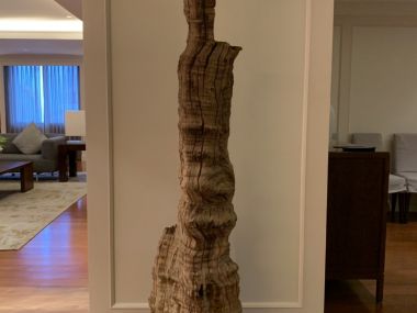 For rent at Las Colinas Penthouse 4 Bedroom 6 Bathroom 1 working room, 1 made room 320,000THB/month Fully furnished (can negotiate)