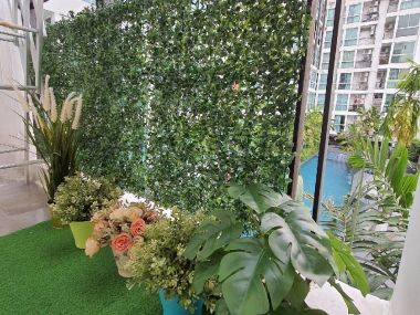 Condo for sale, Chateau in Town, Major Ratchayothin 2, Yield 6% (corner room 26.67 sqm., pool view, north) for sale by owner.