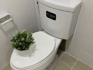 Pruksa town Ratchapruk