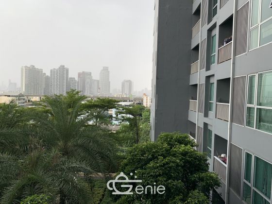 Condo Rhythm Sukhumvit 50 ขนาด35 ตรม ชั้น8 วิวสวน ปล่อยเช่า 18,000฿ต่อเดือนสัญญา1 ปี มัดจำ ล่วงหน้าหน้า 2 เดือน