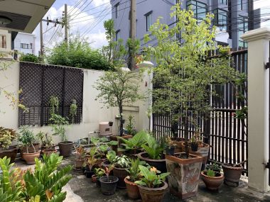 For sale / For rent Town House