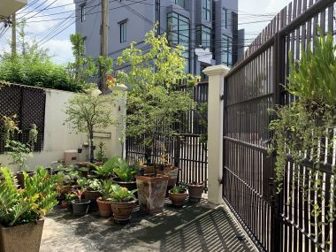 For sale / For rent Town House