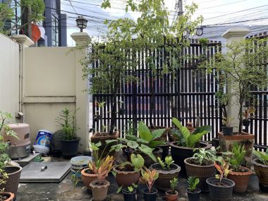 For sale / For rent Town House