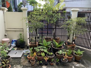 For sale / For rent Town House