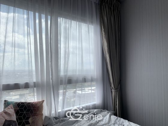 For Sale / For Rent Condo