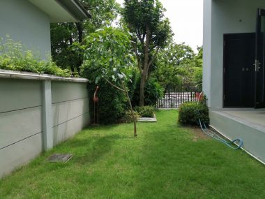 For sale House on Rama II road.  The grand Rama II