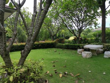 For sale House on Rama II road.  The grand Rama II