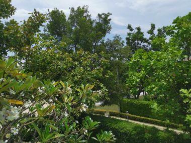 For sale House on Rama II road.  The grand Rama II