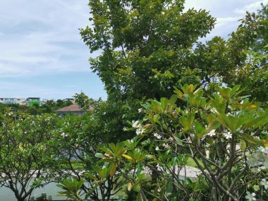 For sale House on Rama II road.  The grand Rama II