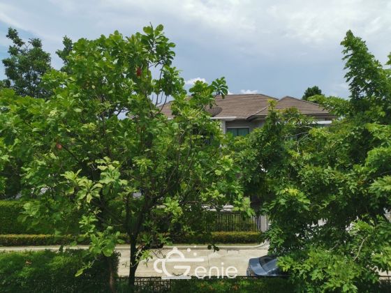 For sale House on Rama II road.  The grand Rama II