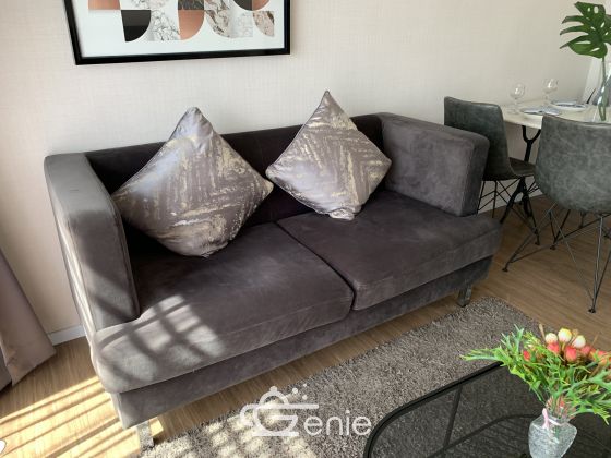 For Sale / For Rent Condo