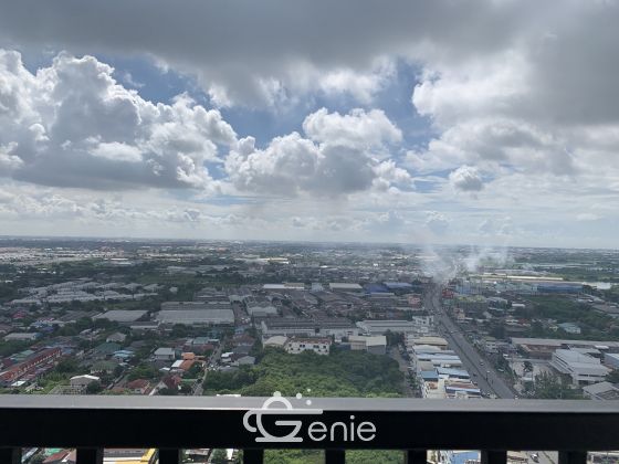 For Sale / For Rent Condo