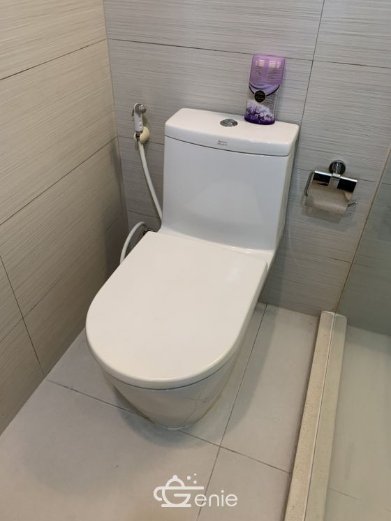 คอนโดให้เช่า Siri at Sukhumvit 1 ห้องนอน 52 ตรม. ห้องใหญ่อยู่สบาย เฟอร์นิเจอร์ครบพร้อมเข้าอยู่ (ชาติอื่นไม่ลด ญี่ปุ่นลดได้)