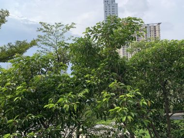 Hot Deal!!! Rhythm Sukhumvit 50 2 ห้องนอน 67ตรม ใกล้ BTS อ่อนนุช ลดราคาจาก 45,000 เหลือเพียง 35,000บาท/เดือน เฟอร์นิเจอร์ครบพร้อมเข้าอยู่