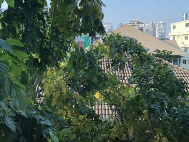 ลดอย่างเยอะ มาเร็ว ปล่อยขาย/เช่า! Hive Sukhumvit 65 1 ห้องนอน 40 ตรม ใกล้ BTS พระโขนง เพียง 3,800,000 บาท ค่าโอนคนละครึ่ง หรือ เช่าเพียง 16,000 บาท/เดือน เฟอร์นิเจอร์ครบพร้อมเข้าอยู่ (PROP000238)