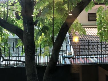 ขาย! Hive Sukhumvit 65 1 ห้องนอน 40 ตรม ใกล้ BTS พระโขนง เพียง 4,200,000 บาท รวมค่าใช้จ่ายทุกอย่าง เฟอร์นิเจอร์ครบพร้อมเข้าอยู่ (PROP000240)