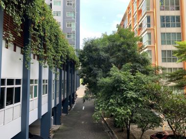 For sale at P.G Rama9 2.6 MB