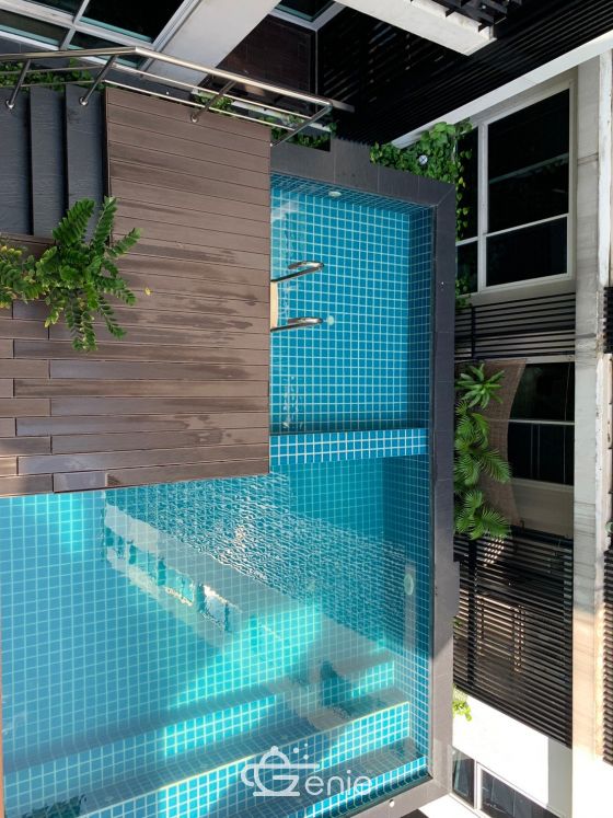 For rent! !! at Tree Condo LUXE Sukhumvit 52 2 Bedroom 2 Bathroom 35,000/month Fully furnished