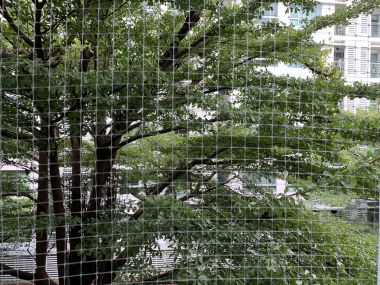 For rent at The Room Sukhumvit 79 2 Bedroom 1 Bathroom 22,000THB/month Fully furnished