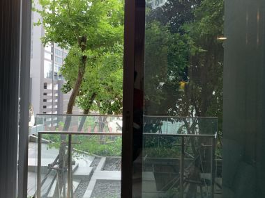 ปล่อยเช่า! Laviq Sukhumvit 57 คอนดูหรูระดับไฮเอนด์ 1 ห้องนอน 1 ห้องน้ำ 50ตรม. ใจกลางทองหล่อ เพียง 50,000บาท/เดือน เฟอร์นิเจอร์ครบพร้อมเข้าอยู่