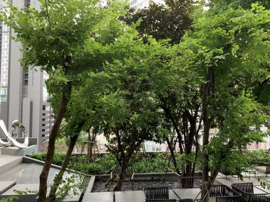 ปล่อยเช่า! Laviq Sukhumvit 57 คอนดูหรูระดับไฮเอนด์ 1 ห้องนอน 1 ห้องน้ำ 50ตรม. ใจกลางทองหล่อ เพียง 50,000บาท/เดือน เฟอร์นิเจอร์ครบพร้อมเข้าอยู่