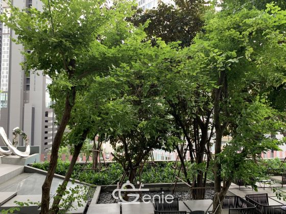 For rant at Laviq Sukhumvit 57 1 Bedroom 1 Bathroom 50,000THB/month Fully furnished