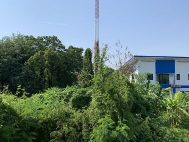 ขาย! บ้านเดี่ยวใจกลางเมือง 3 ชั้น 6 ห้องนอน 6 ห้องน้ำ 1 ห้องแม่บ้าน จอดรถ 3 คัน ขนาด 111 ตรว.  พื้นที่ใช้สอย 500 ตรม. เพียง 16,500,000 บาท