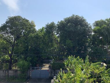 ขาย! บ้านเดี่ยวใจกลางเมือง 3 ชั้น 6 ห้องนอน 6 ห้องน้ำ 1 ห้องแม่บ้าน จอดรถ 3 คัน ขนาด 111 ตรว.  พื้นที่ใช้สอย 500 ตรม. เพียง 16,500,000 บาท