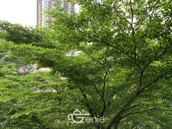 Hot Deal For rant at Life Sukhumvit 48 1 Bedroom 1 Bathroom 15,000THB/month Fully furnished
