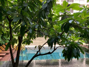 For rent! !! at MODE Sukhumvit 61 1 Bedroom 1 Bathroom 45,000/month Fully furnished