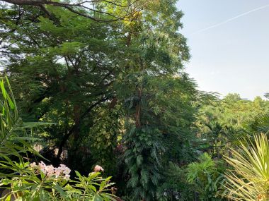 Condo For rent at Supreme Ville Condo size 71 sqm. 1 Bedroom 1 Bathroom 29,000THB/month Fully furnished (can negotiate)