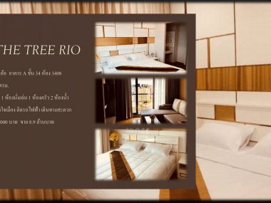 The Tree RIO (Bang-Aor Station )