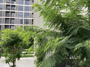 For sale! at My Condo Sukhumvit 81 1 Bedroom 1 Bathroom 1,750,000THB Fully furnished (can negotiate )