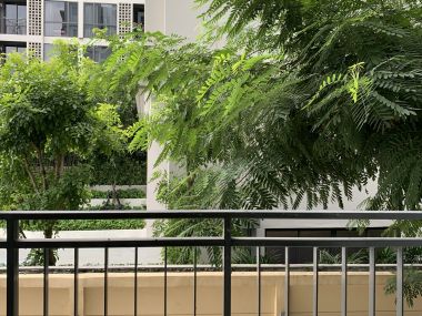 For sale! at My Condo Sukhumvit 81 1 Bedroom 1 Bathroom 1,750,000THB Fully furnished (can negotiate )