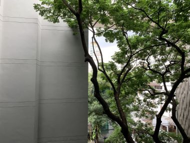 For rent at Via Botani 1 Bedroom 1 Bathroom 48.13 sqm. 5th Floor pric 32,000THB/month Fully furnished (can negotiate)