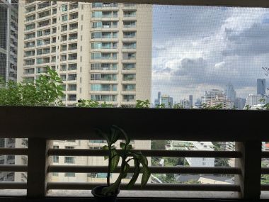 For rent at City Lakes Tower Sukhumvit 16 4 Bedroom 4 Bathroom 83,000THB/Month Fully furnished