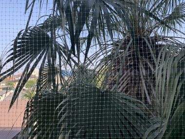 For rent!!! at The ญresident Sukhumvit 1 Bedroom 1 Bathroom 14,000/month Fully furnished